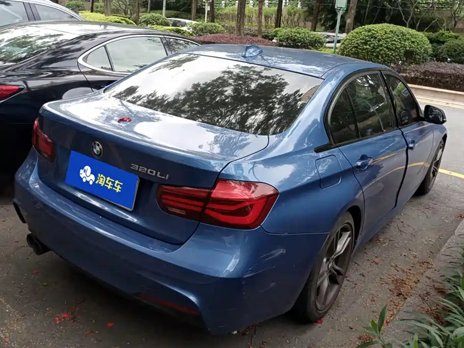 BMW 3 Series 2019 320Li M Sport Black Night Edition фото 3