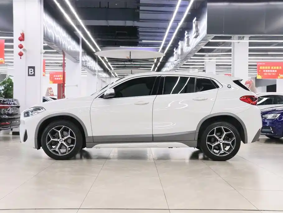 BMW X2 (Import) 2019 sDrive20i M Off-Road Package China VI фото 3