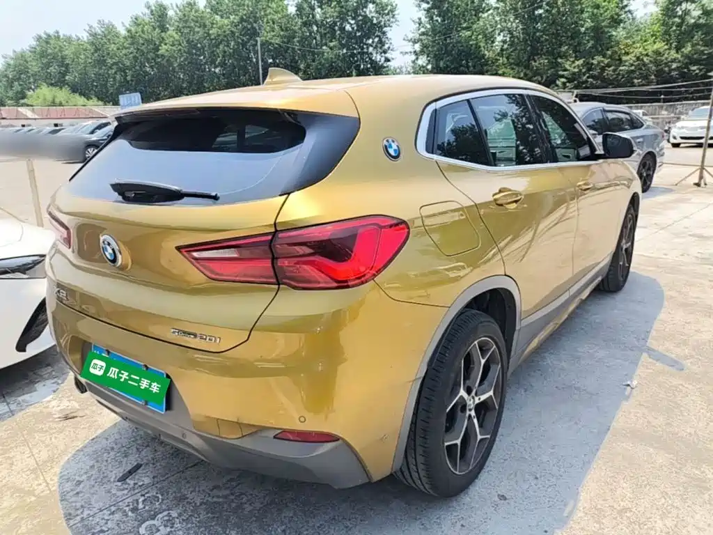 BMW X2 (Import) 2019 2019 sDrive20i M Off-Road Package China VI