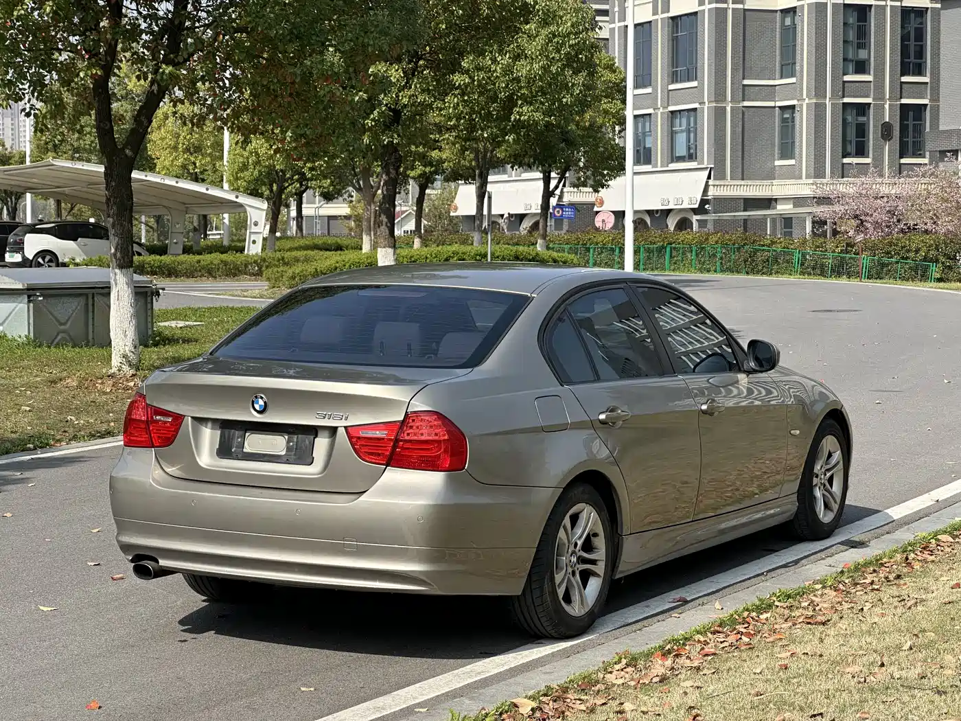 BMW 3 Series (Import) 2012 318i Leading фото 6
