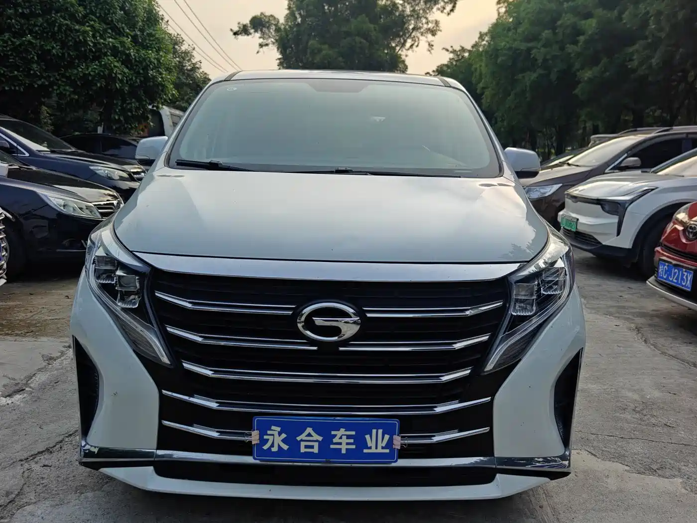 GAC Trumpchi Trumpchi M8 2023 Leading Series 390T Premium Edition фото 2