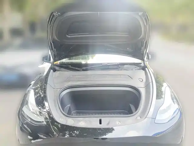 Tesla Model Y 2024 Rear-Wheel Drive Version — фото 3