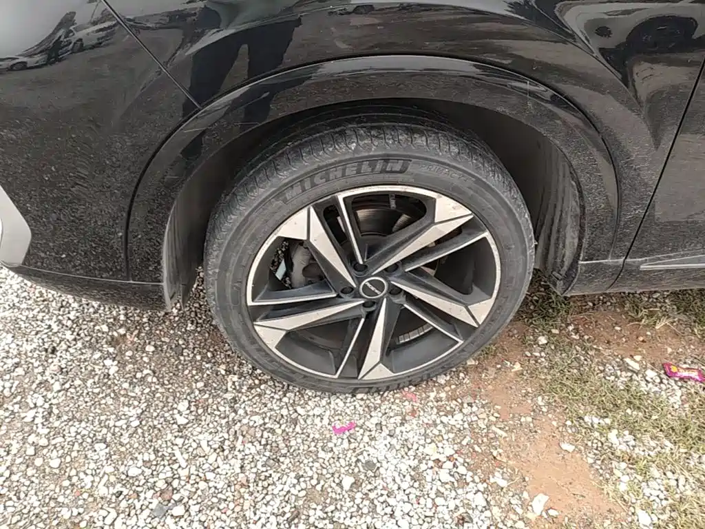 Roewe RX5 MAX 2022 2022 1.5T Auto Promising Premium Edition