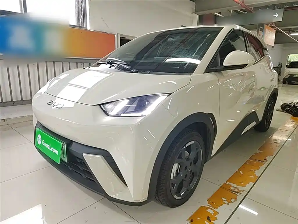 BYD Seagull 2025 305km Freedom