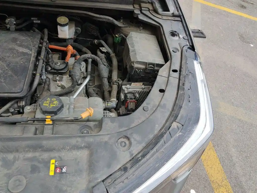 Haval Xiaolong 2024 2023 1.5L 110KM Pilot Edition