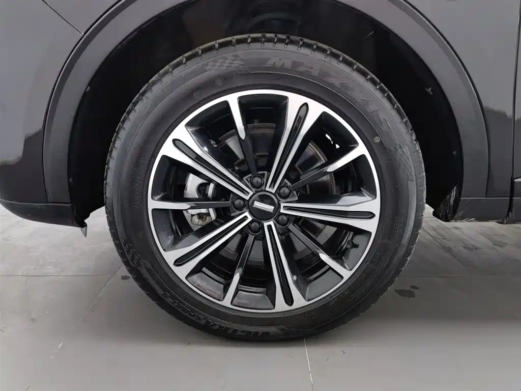 WEI PAI WEI BRAND VV6