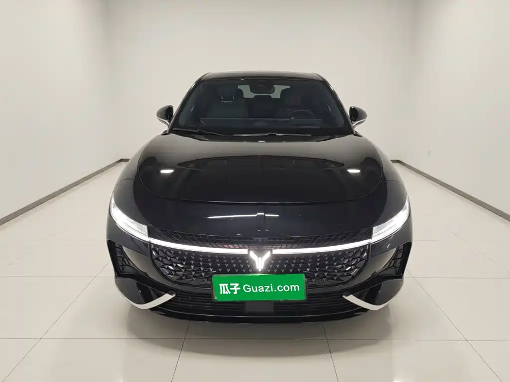 Voyah Passion 2024 2024 PHEV AWD Ultra Long Range Flagship
