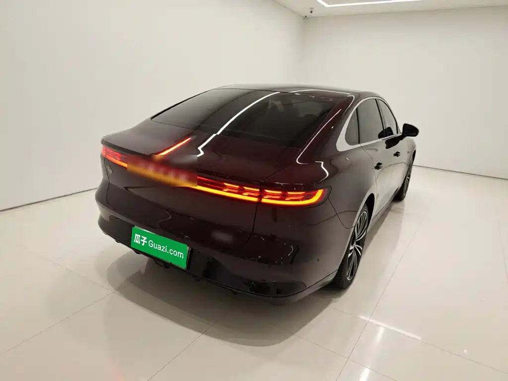 Voyah Passion 2024 2024 PHEV AWD Ultra Long Range Flagship
