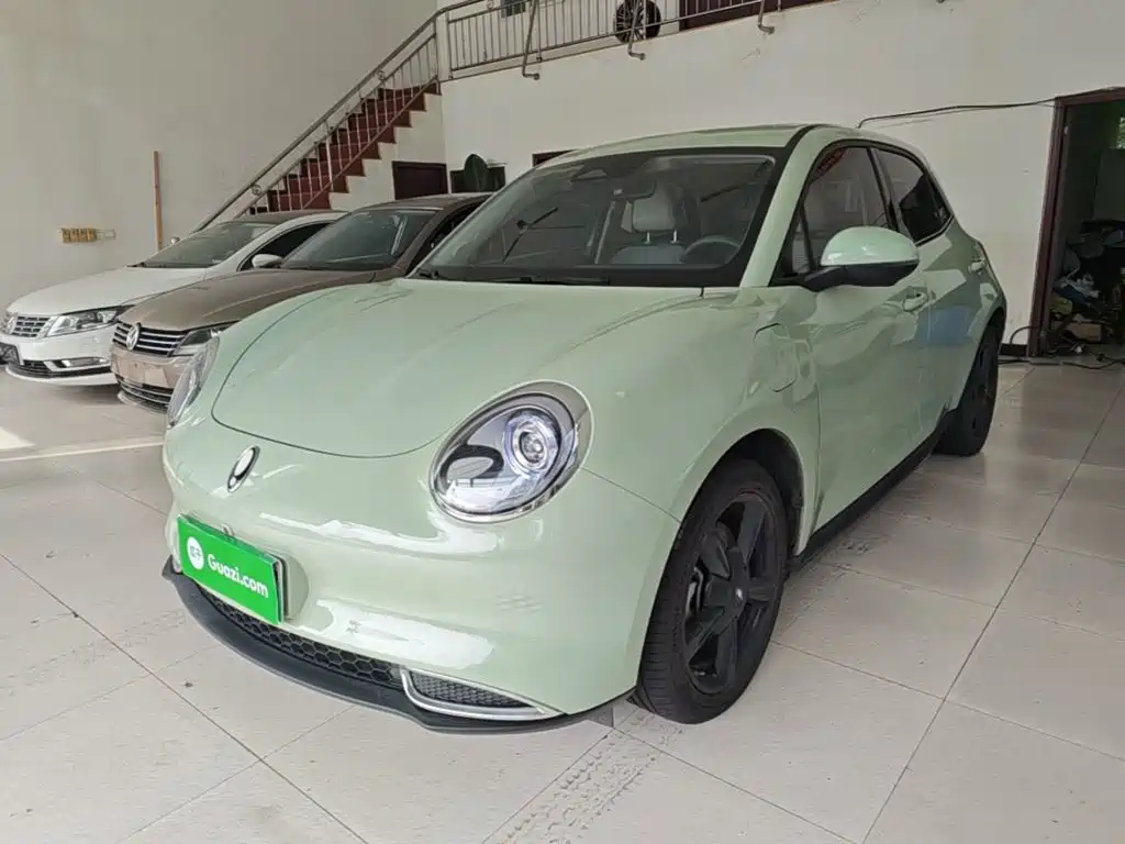 Ora Ora Good Cat 2024 401km Luxury