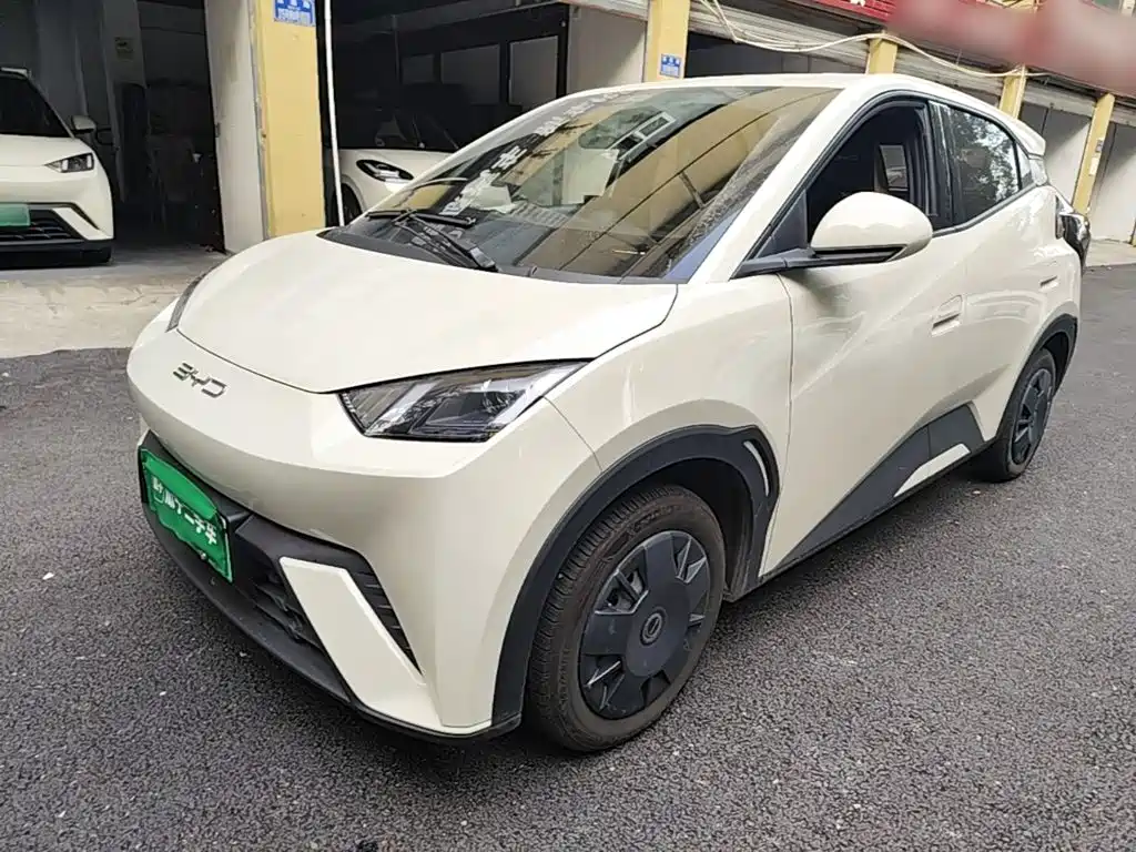 BYD Seagull 2024 Glory Edition 305km Vitality Edition