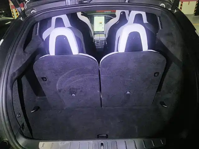 Tesla Model X 2017 Model X 100D Long Range — фото 5