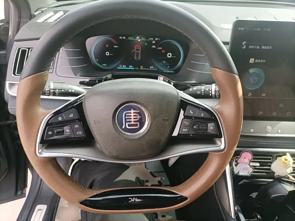صورة 11 - BYD Tang New Energy