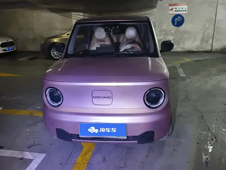 Geely Galaxy Panda 2023 Panda Mini 200km Endurance Bear фото 2