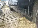 Фото 21 - BYD Song L EV