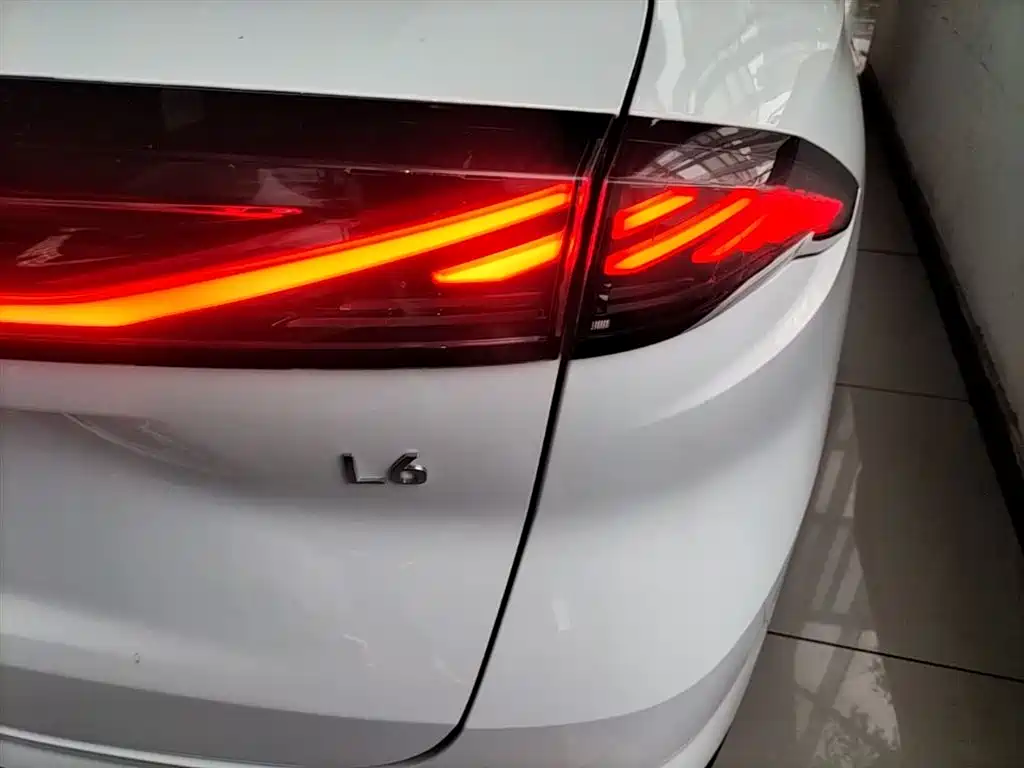 Geely Galaxy Galaxy L6 2024 125km PLUS Soaring Dragon Edition фото 8