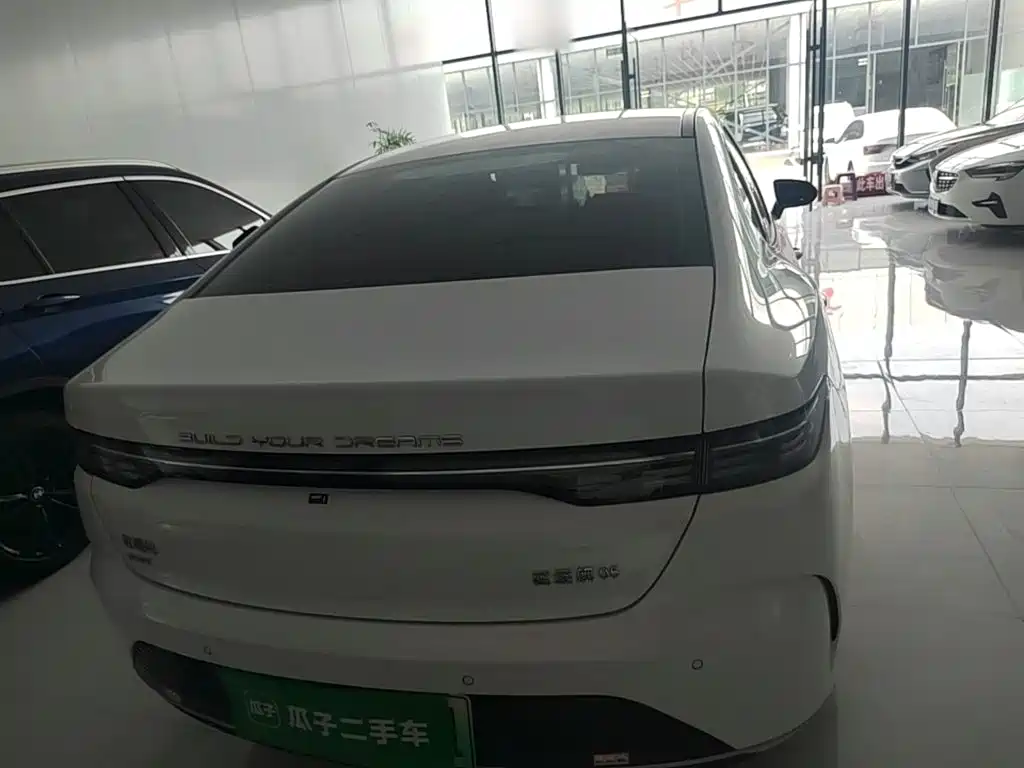 Фото 6 - BYD Destroyer 05
