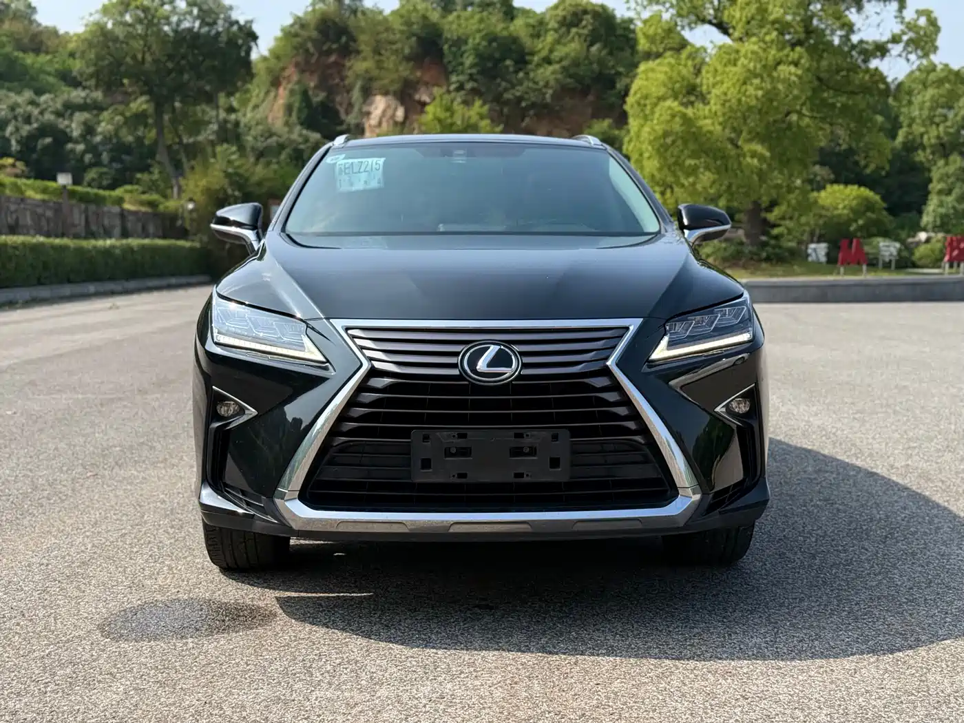 Lexus RX 2016 300 4WD Elegance Edition (China V) фото 2