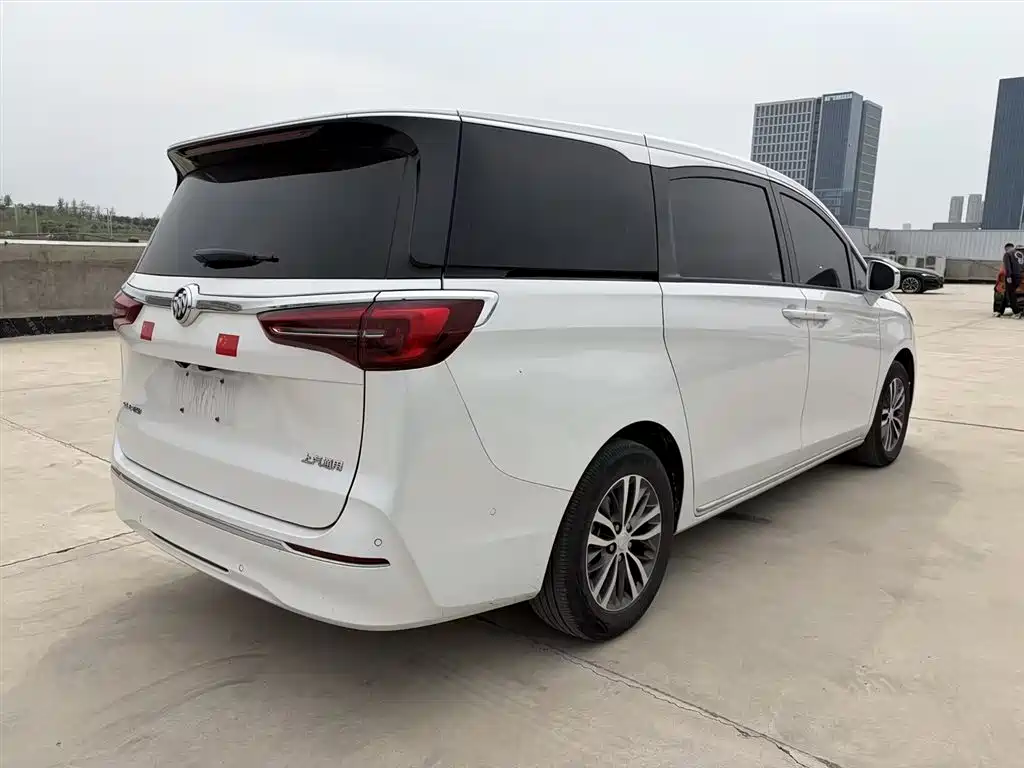 Buick GL8 2023 ES Landmaster Exclusive фото 6