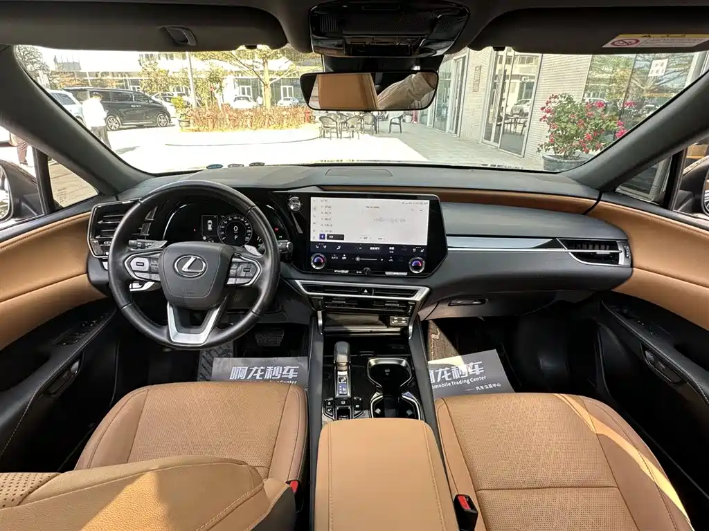 LEXUS RX