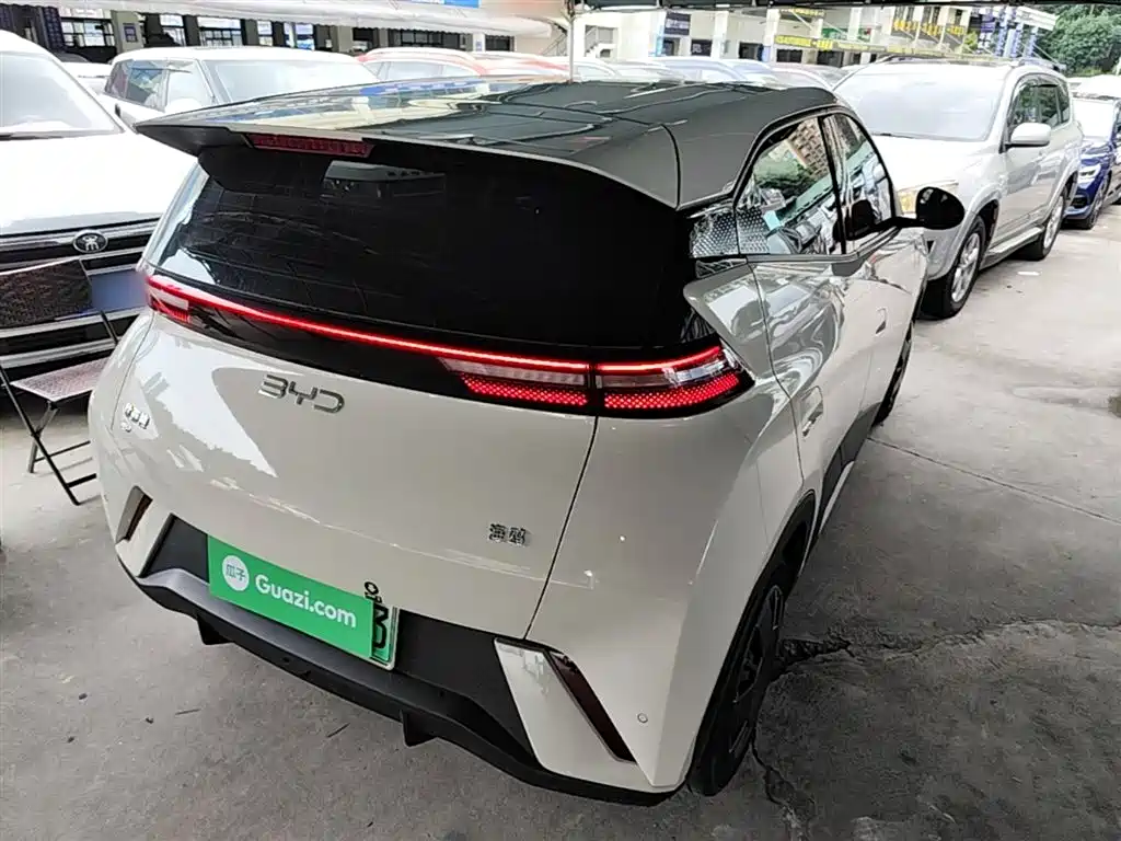 BYD Seagull 2024 Glory Edition 305km Vitality Edition фото 7