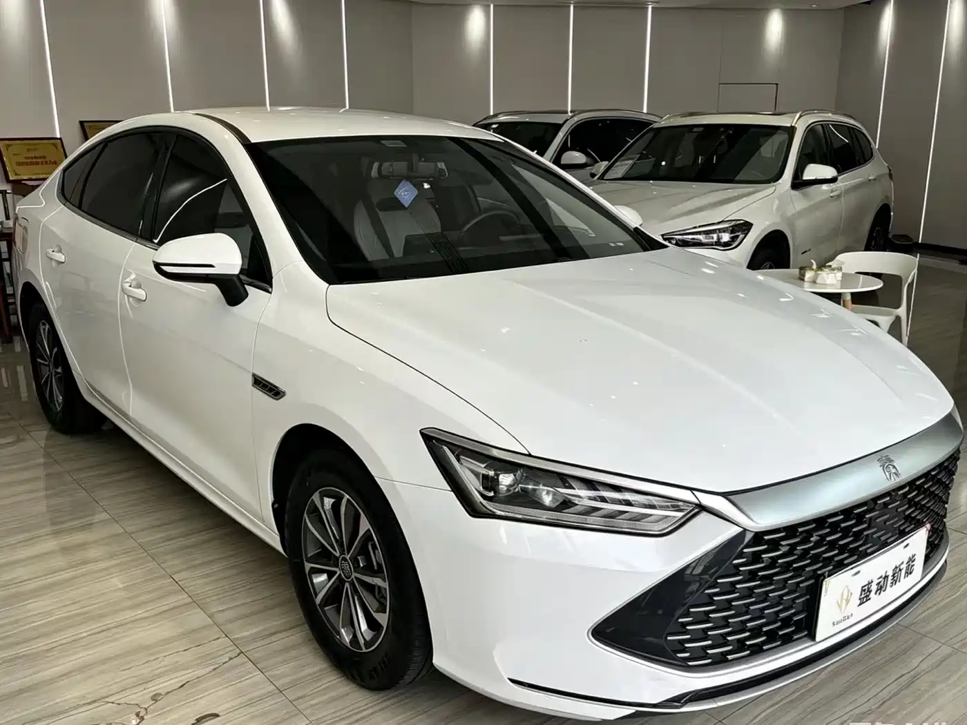 BYD Qin PLUS 2024 Glory Edition DM-i 55KM Leading фото 3