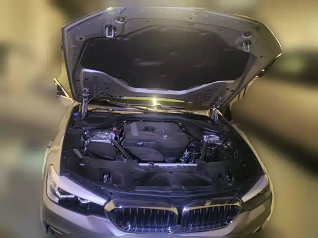 BMW 5 Series 2018 528Li Launch Special Edition — фото 3