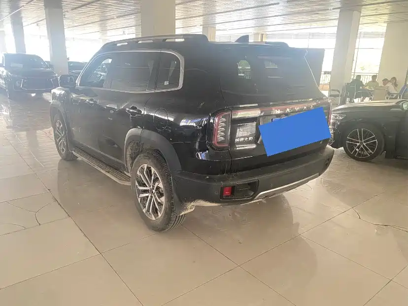 Haval Big Dog 2024 1.5T DCT Border Collie Edition фото 7