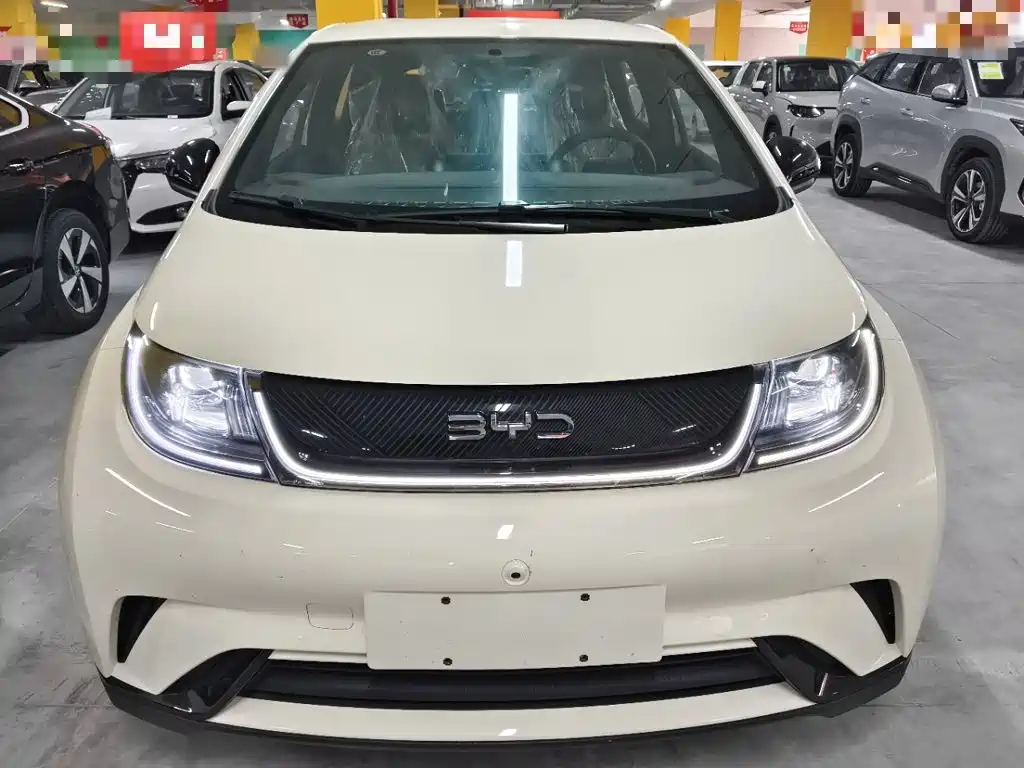 2026 BYD Dolphin