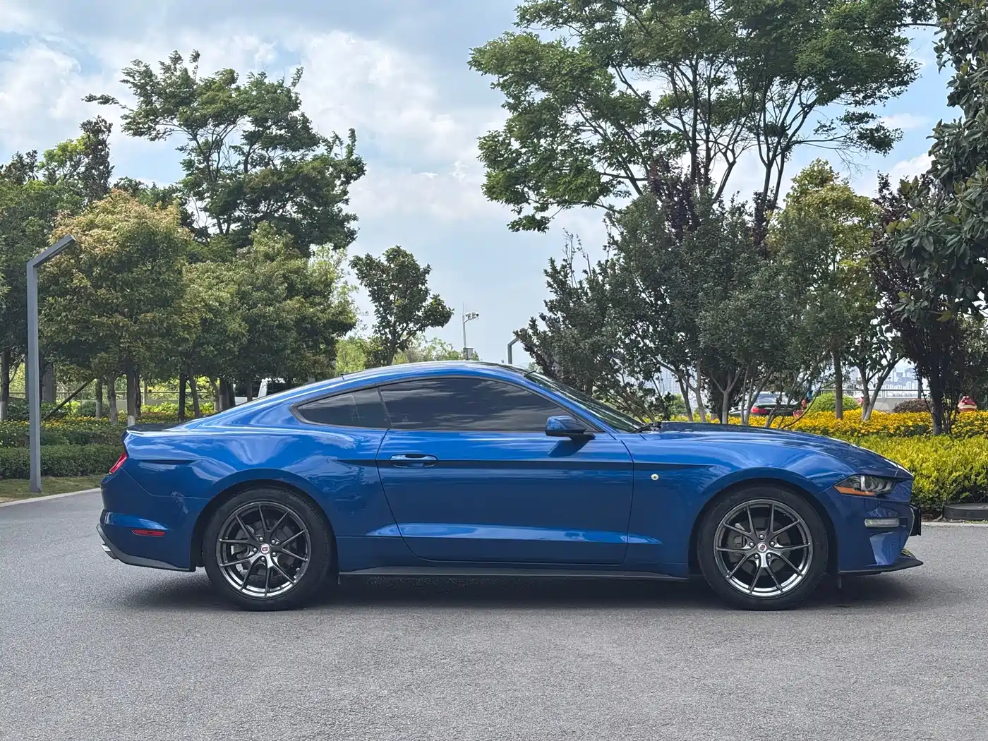 FORD MUSTANG