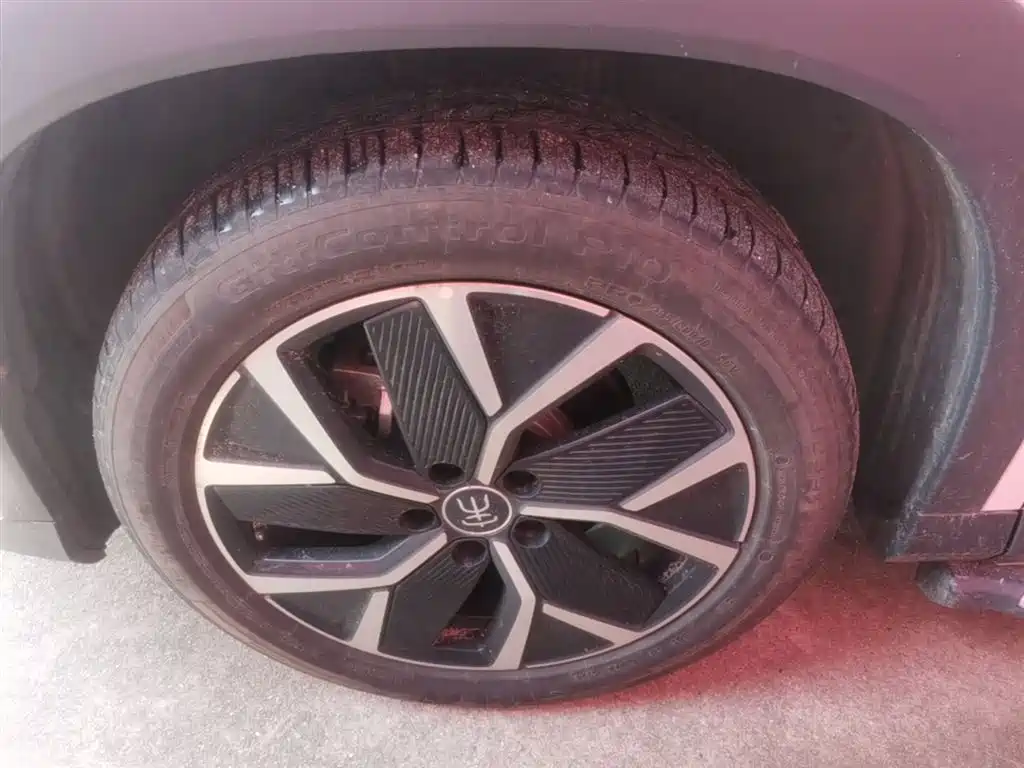 BYD Song L DM-i 2025 Smart Drive 160km Premium фото 23