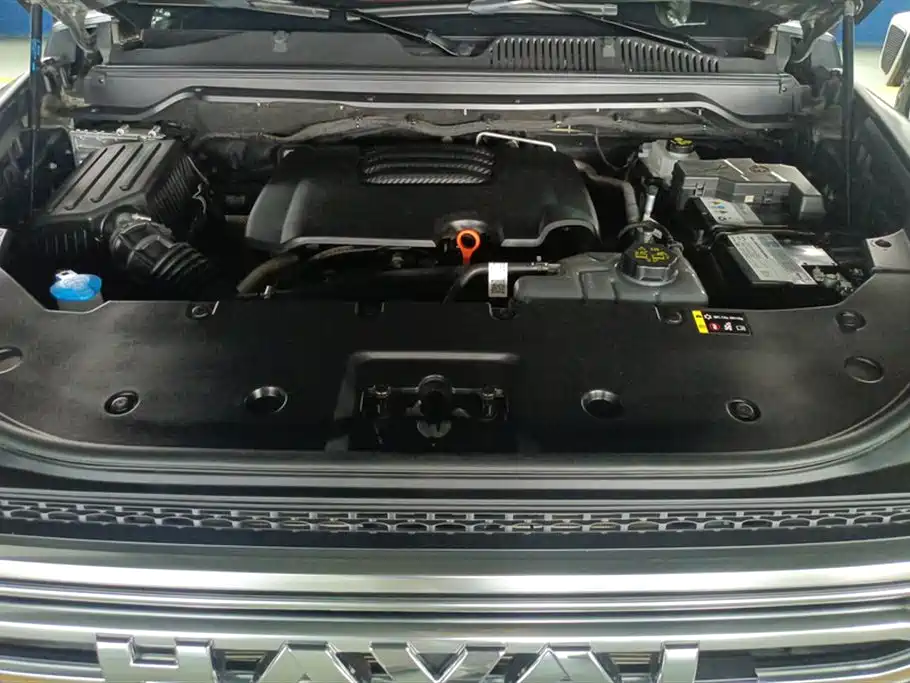 Haval H9 2024 2.0T Gasoline AWD Extreme Edition фото 10