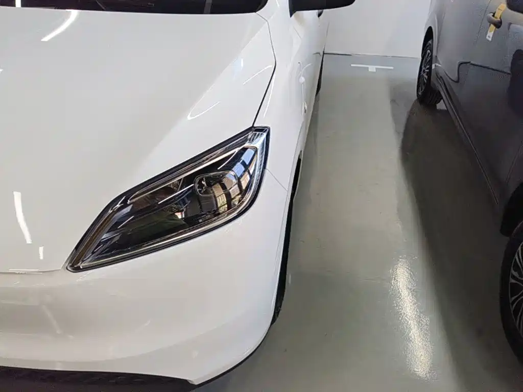 Wuling Motors Wuling Hongguang New Energy 2026 2024 Pure Electric 300KM Standard