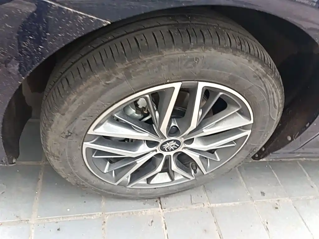 BYD Qin PLUS 2024 Glory Edition DM-i 120KM Surpass фото 23