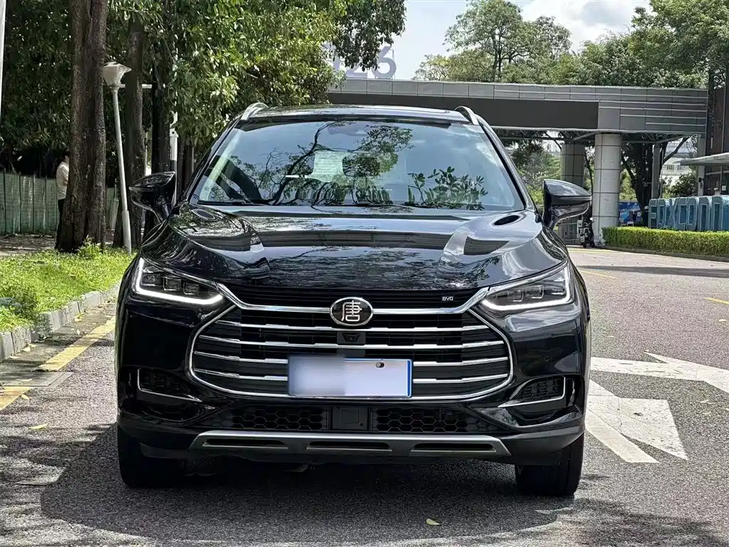 BYD Tang 2019 2.0T Automatic Smart Connect Honor 7-seater China VI фото 3