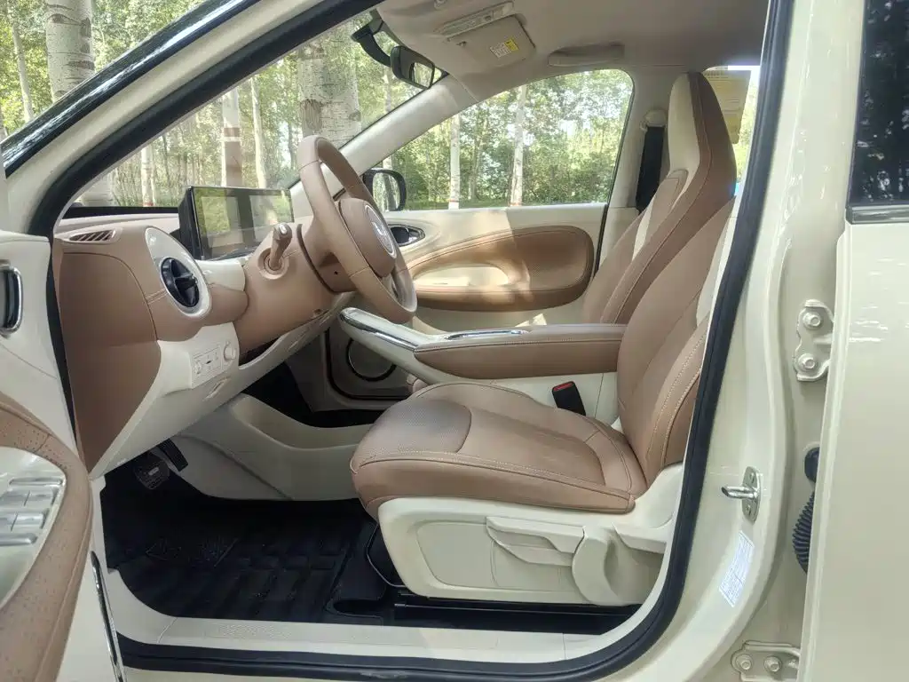 Wuling Motors Wuling Bingo 2026 2025 Model 333km Joy Edition