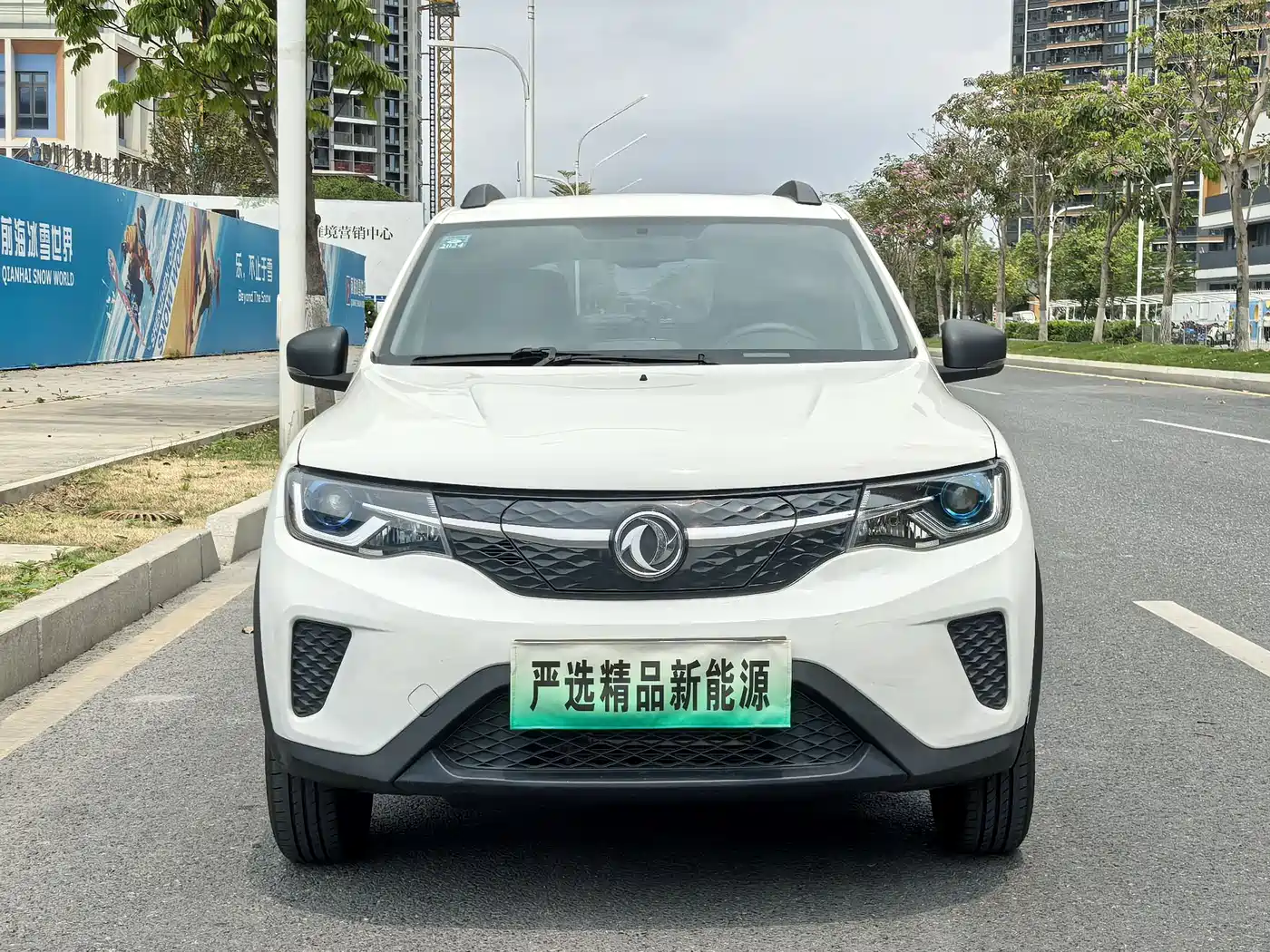 DONGFENG EX1