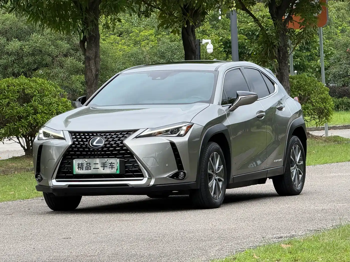Lexus UX Electric 2020 300e Pure Yue Edition