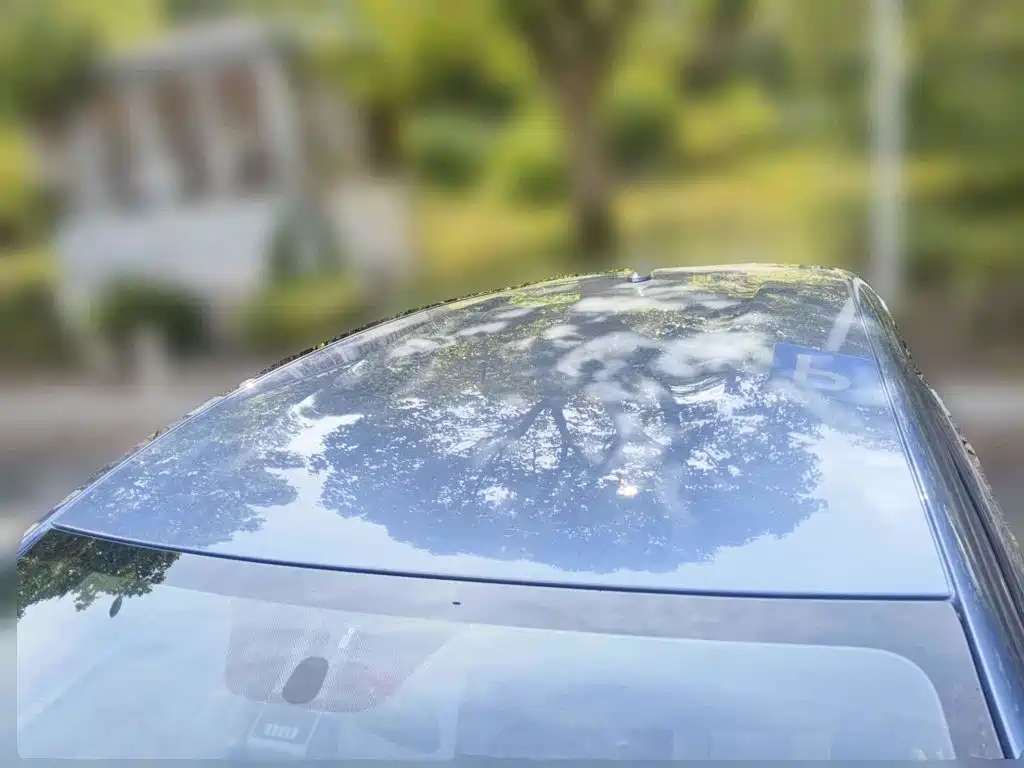 BYD Dolphin 2026 2025 420km Freedom Edition