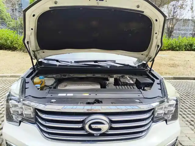 GAC Trumpchi Trumpchi GS8 2017 320T 2WD Luxury Smart Connect (7-seater) — фото 3