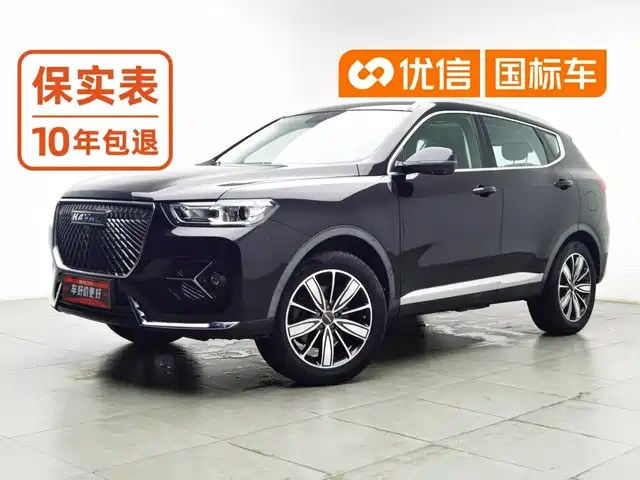  Haval Haval H6 2020 1.5GDIT Automatic Platinum Champion Edition