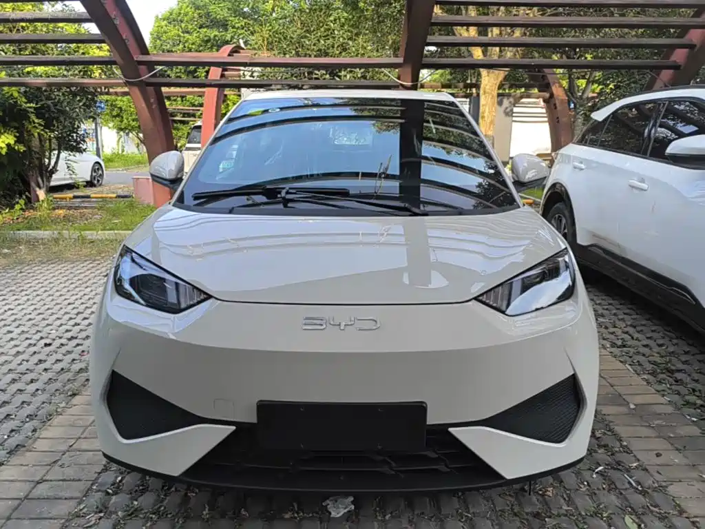 2026 BYD Seagull