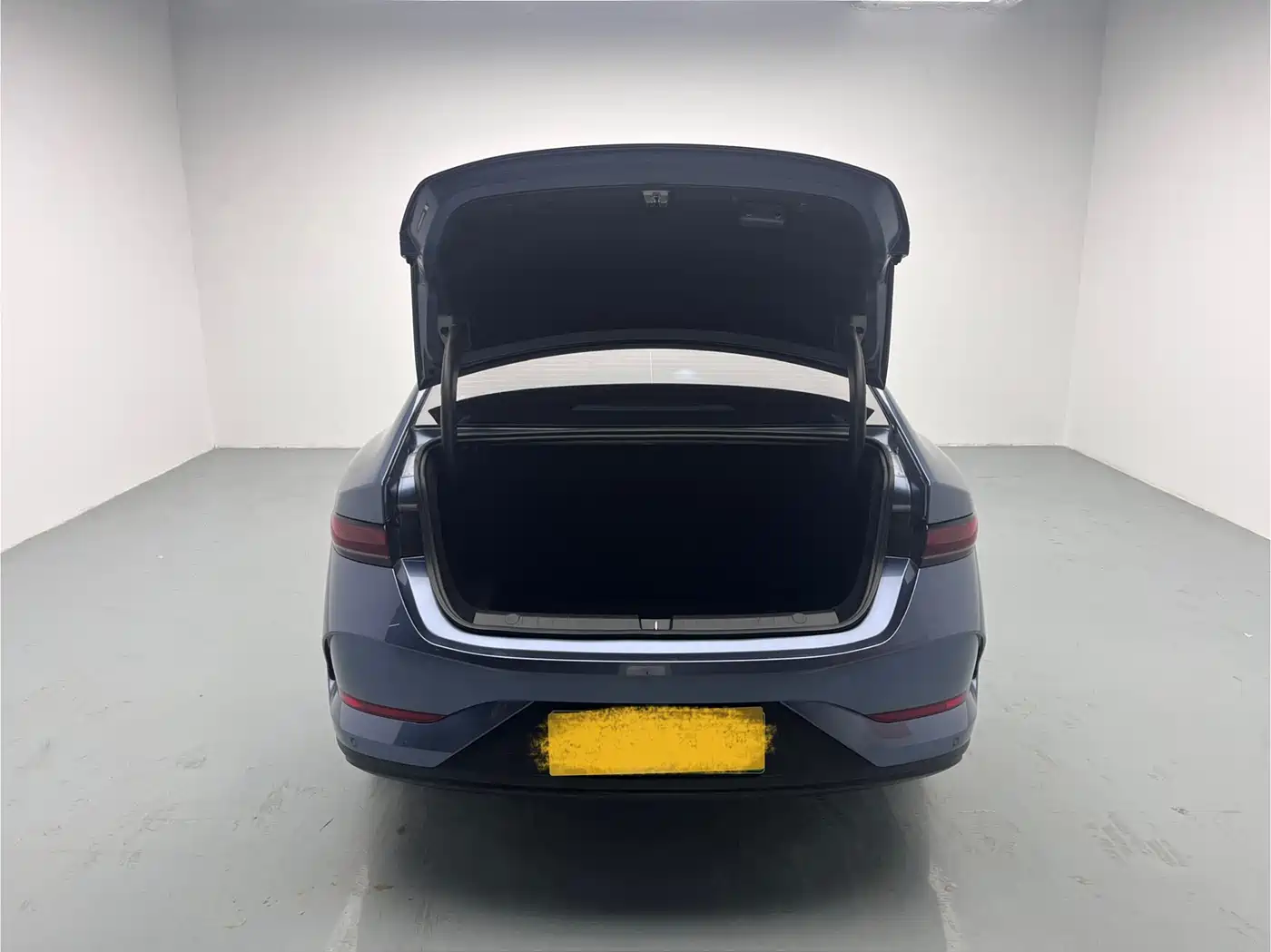 BYD Qin PLUS 2025 EV Smart Drive Edition 420KM Leading Type фото 20