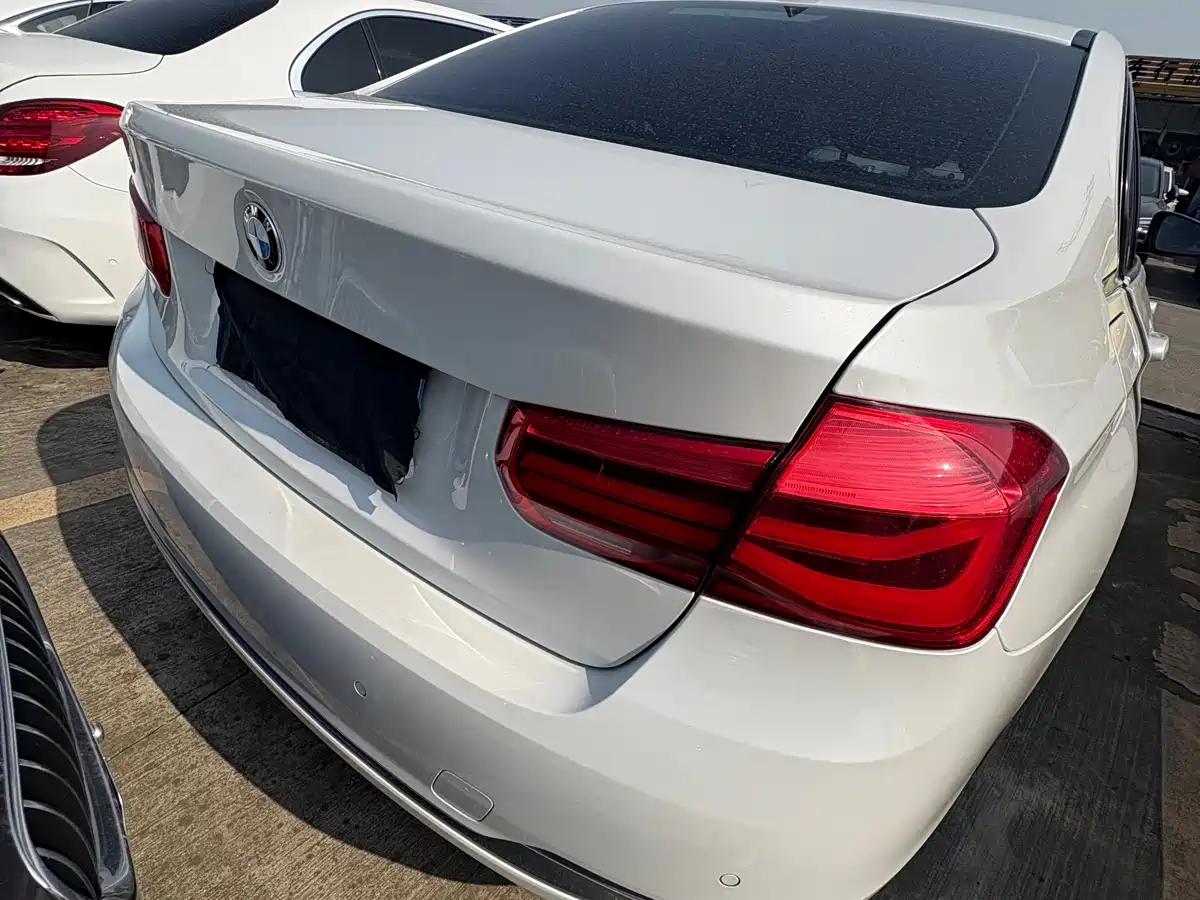 BMW 3 Series 2019 320Li Fashion Type фото 15