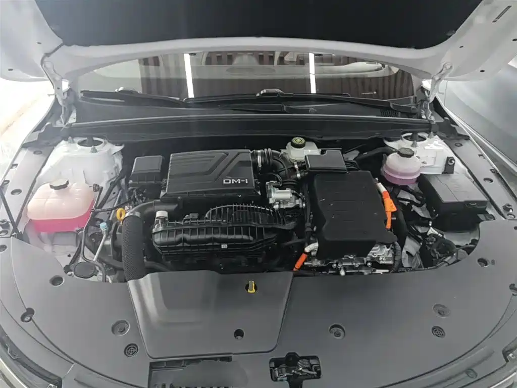 BYD Destroyer 05 2024 Glory Edition DM-i 55KM Luxury фото 20