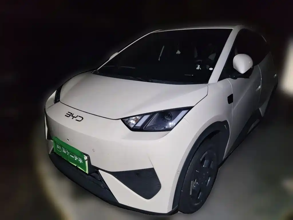 2026 BYD Seagull