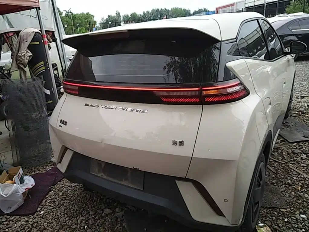 BYD Seagull 2024 Glory Edition 305km Vitality Edition фото 6