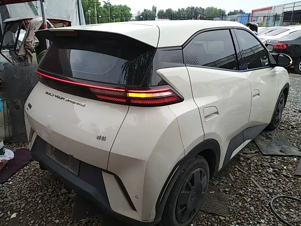 BYD Seagull 2024 Glory Edition 305km Vitality Edition фото 7