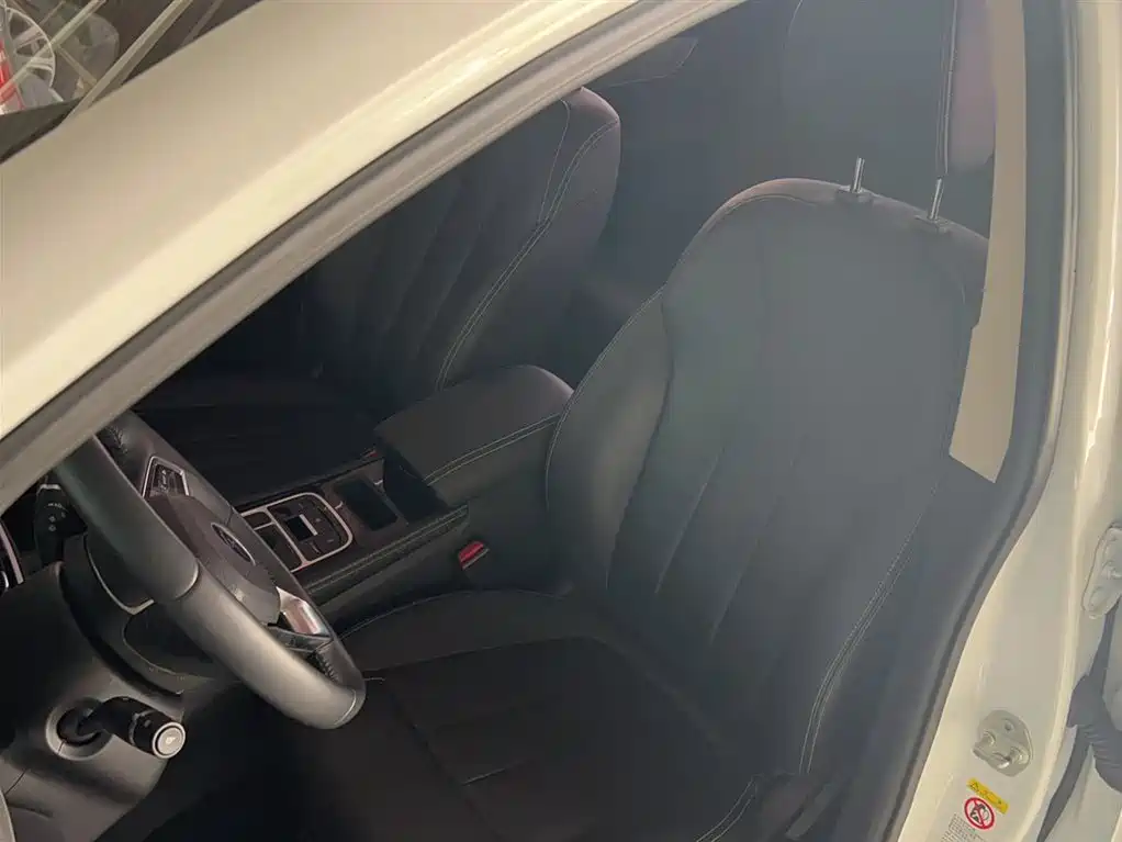 BYD Song MAX 2021 Upgrade 1.5T Automatic Luxury Edition 7-Seater фото 13