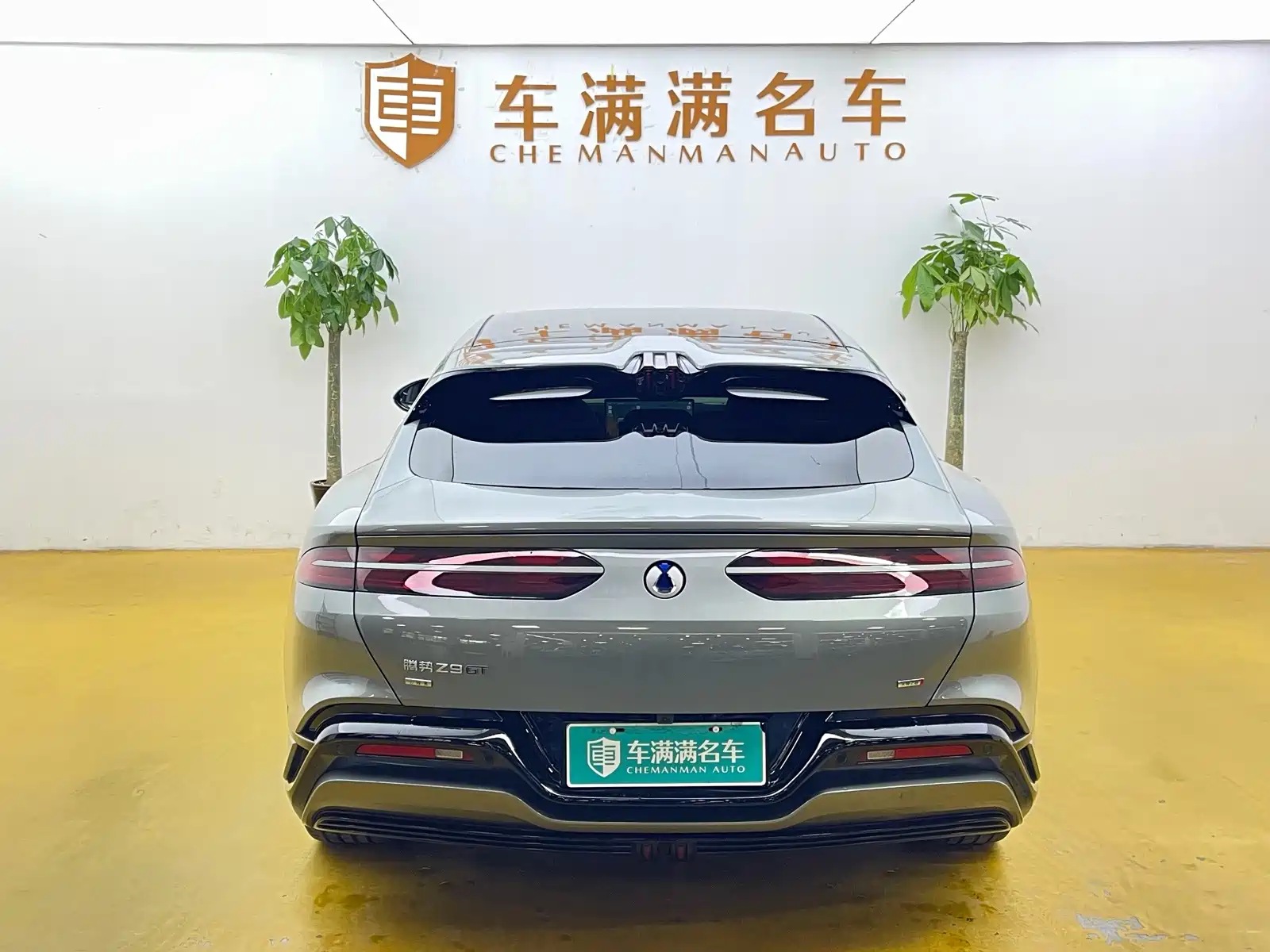 Фото 10 - Denza Z9GT
