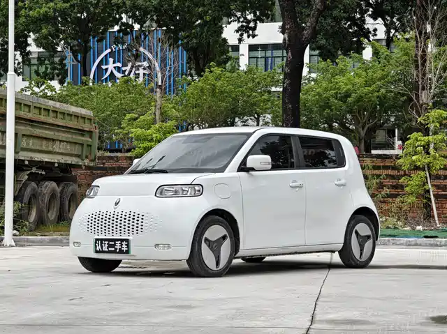 Ora Ora White Cat 2022 Upgraded Version 305km Comfort Type NCM